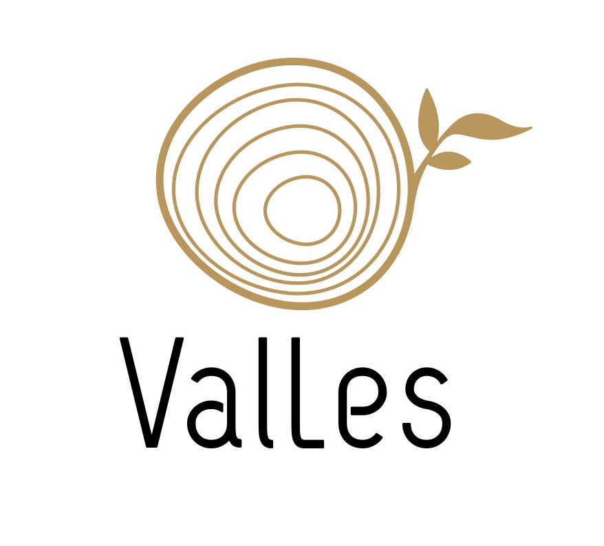 VALLES_logo-V1-1.jpg